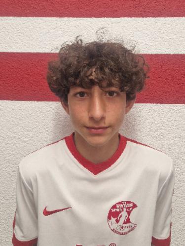 Ismail Veziroglu