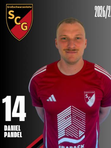 Avatar Bild für Daniel Pandel