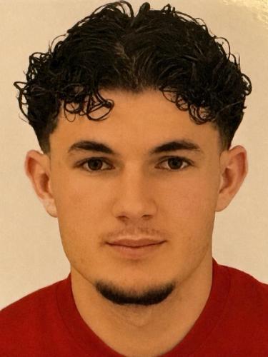 Dario Nedimovic