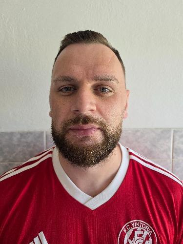 Damir Mesic