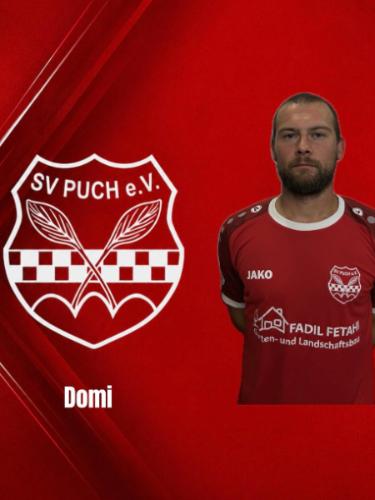 Domenik Kemnitzer