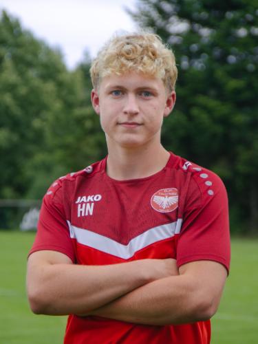 Henrik Ahner