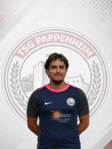 Taha Demir