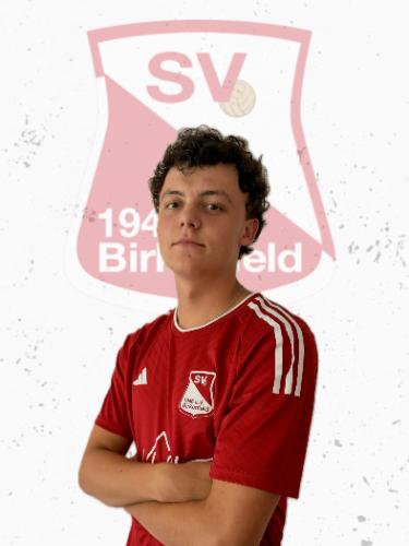 Avatar Bild für Emil Möslein