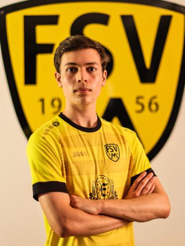 Timo Hegyi
