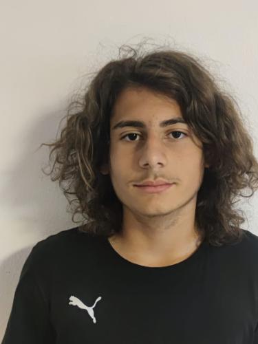 Daniel Wanner Ferreira
