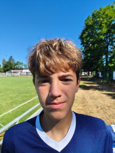 Ajnur Hamzic