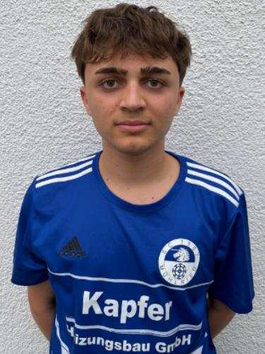 Ege Yürekli