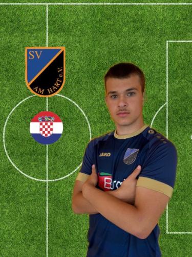 Gabriel Vlahovic