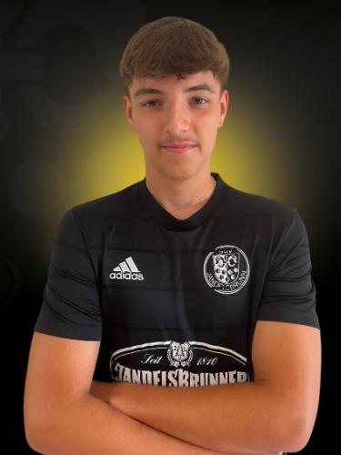 Yannic Reisinger