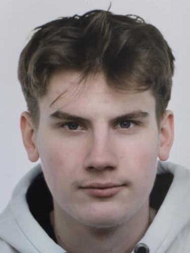 Alen Alihodzic