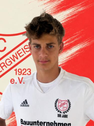 Nico Zellner