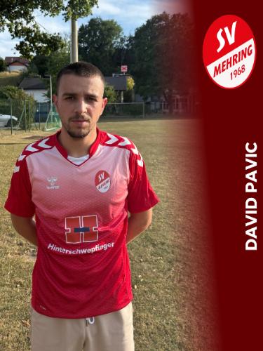 David Pavic