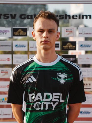 Luis Friedrich