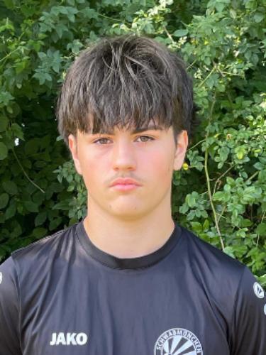 Luka Kozul
