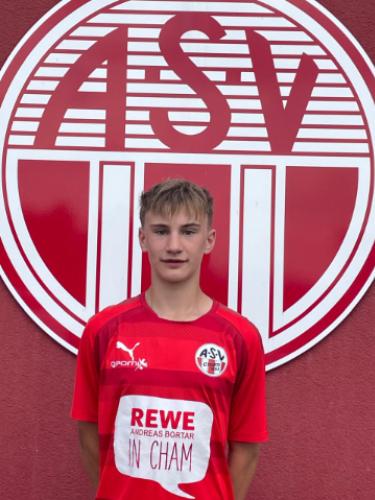 Hannes Sperl