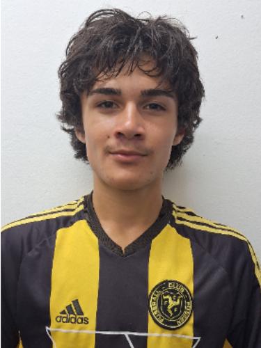 Levin Aribas