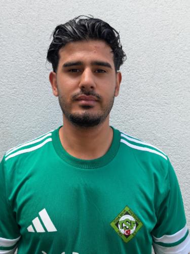 Mashal Kohi
