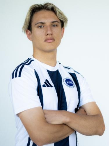 Dino Smajic