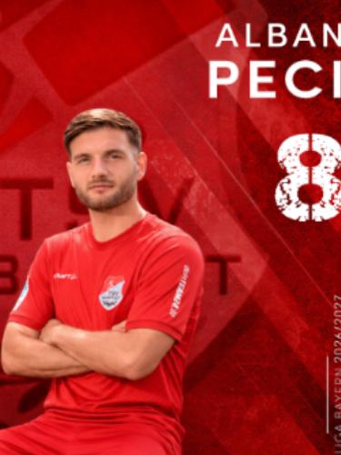 Alban Peci
