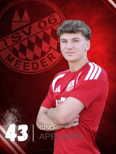 Avatar Bild für Gino Apeligan