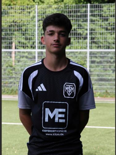 Aleksa Culic