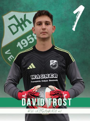 David Trost