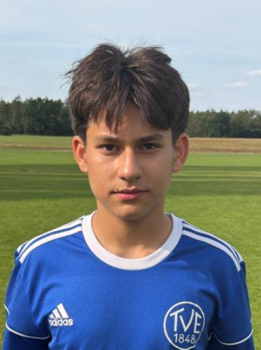 Ali Karanfil