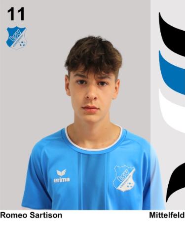 Raphael Sartison
