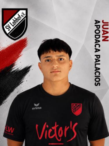 Juan Apodaca Palacios