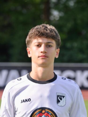 Armin Dizdarevic