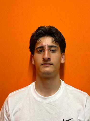 Dimitrios Bostantziev