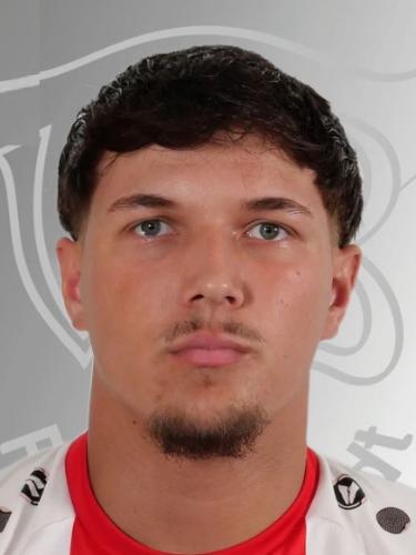 Mihael Stanic