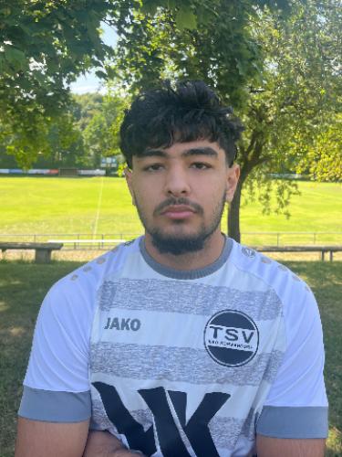 Shamil Damirov