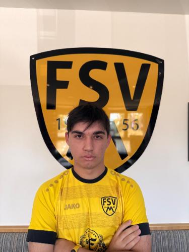 Elvin Mamishev