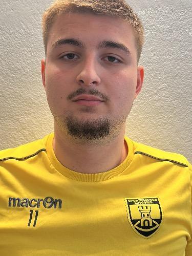 Adin Medenjakovic