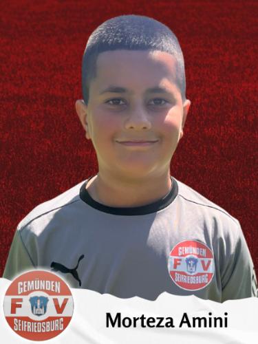 Morteza Amini