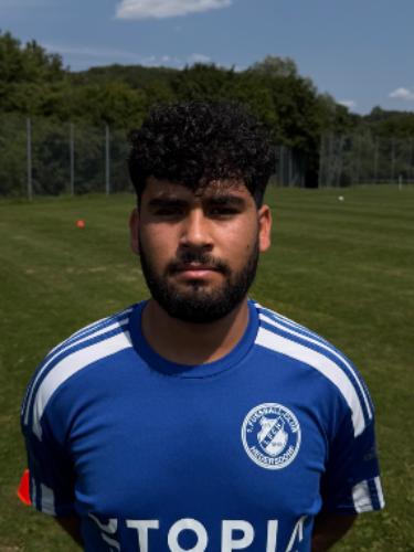 Ayoub Al Hamdan