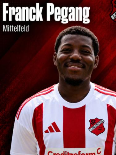 Avatar Bild für Franck Pegang Tchielong