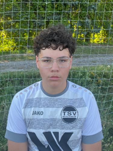Dionis Dedinca