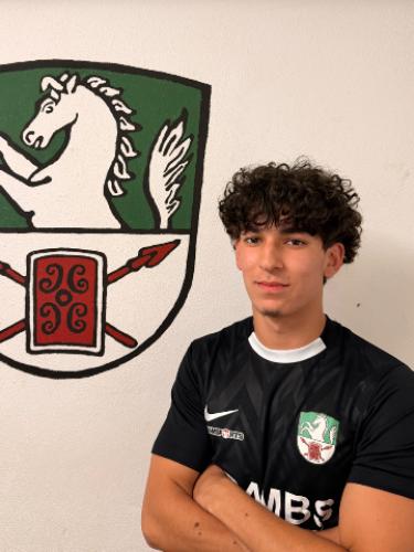 Ramin Mehr