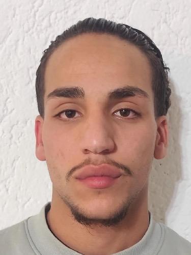 Wissam El-Ali