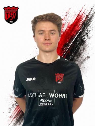 Avatar Bild für Dominik Engstler