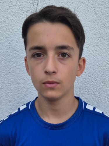 Tarik Abedini