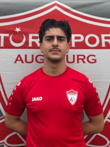Ahmet Özoglu