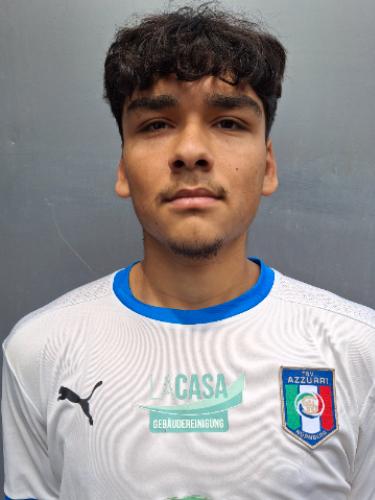 Giuliano Zannone