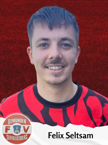 Felix Seltsam