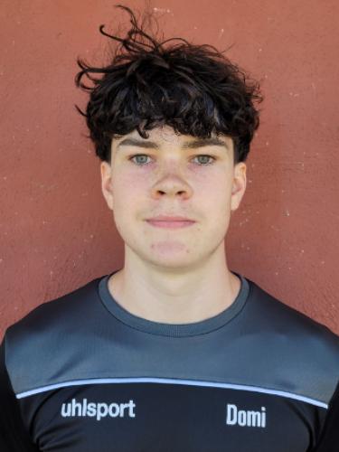 Avatar Bild für Dominik Schwab