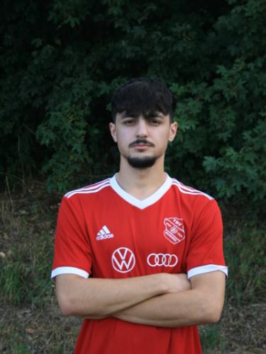 Alojzije Matic