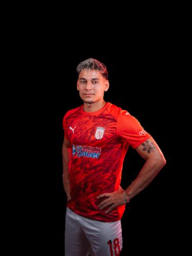 Avatar Bild für Bruno Ferreira Goncalves